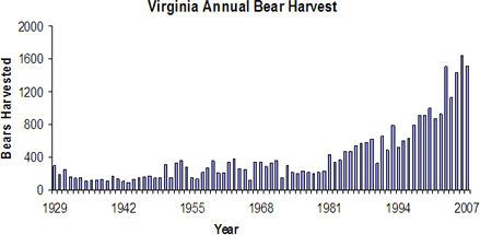 Annual Bear Harvest