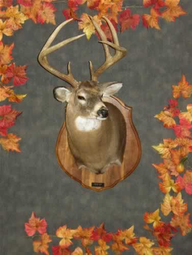 Class III Winner (Rifle: Deer 7 & 8 points)