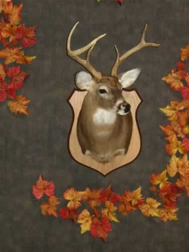 Class IV Winner (Rifle: Deer 6 points & under)