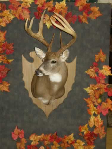 Class VII Winner (Archery: Deer 7 & 8 points)