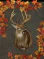 Class II Winner (Rifle: Deer 9, 10, & 11 points) (18kb)