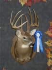 Class II Winner (Rifle: Deer 9, 10, & 11 points) - Jim S. Holland - Score: 218-2/16 - Points: 11 - County of Kill: Franklin 