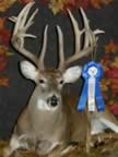 Class IX Winner (Black Power: Deer 12 points & above) - Les E. Hall - Score: 243-9/16 - Points: 17 - County of Kill: Floyd 