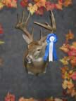 Class I Winner (Rifle: Deer 12 points & above) - Wesley T. Foster - Score: 215-12/16 - Points: 14 - County of Kill: Amherst
