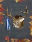 Class III Winner (Rifle: Deer 7 & 8 points) - Chris L. Foley - Score: 183-3/16 - Points: 8 - County of Kill: Franklin